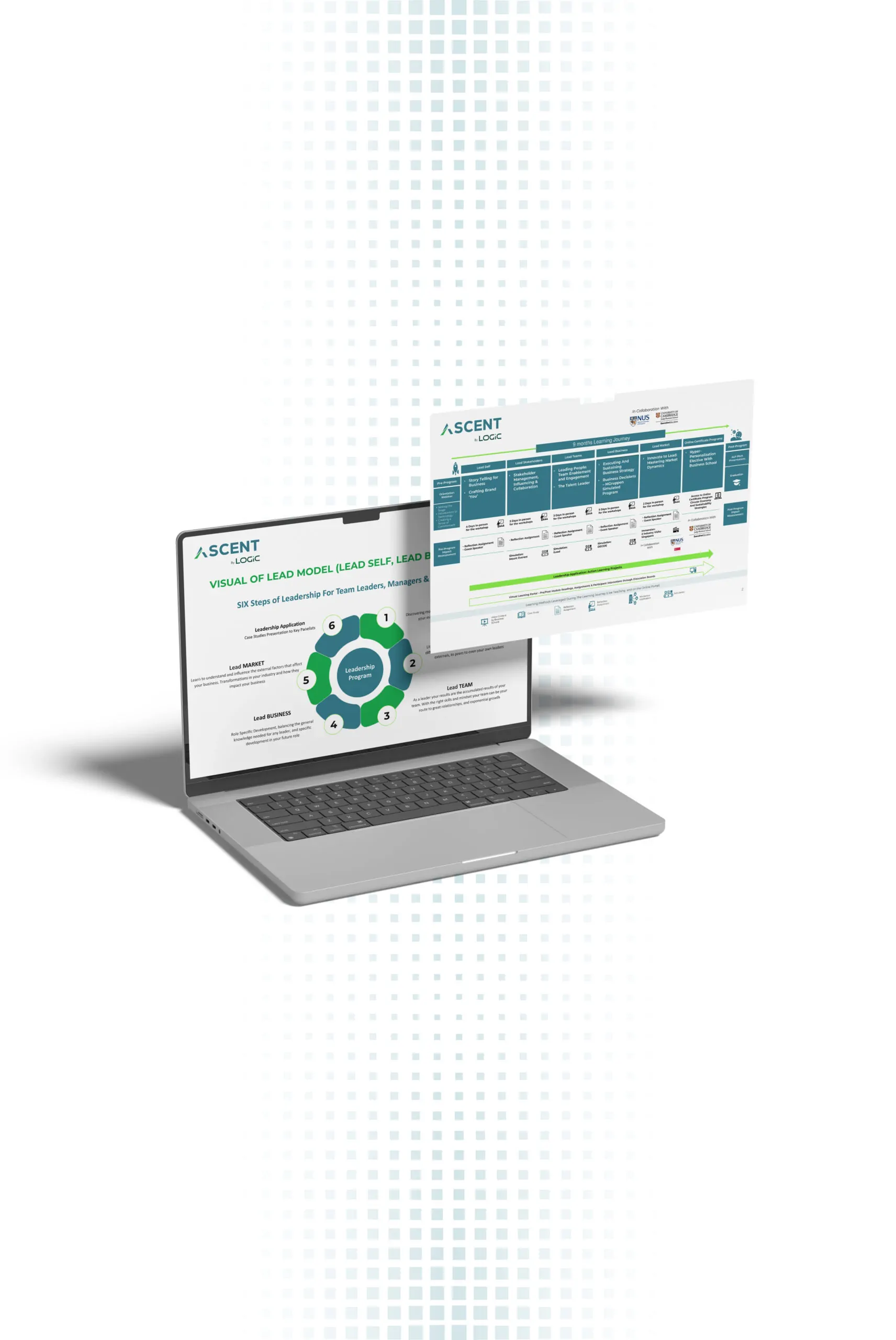 Mockup develop talent 1